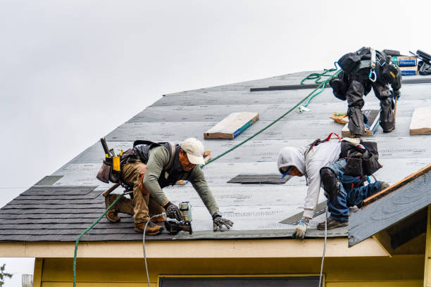 Professional Gutter Installation technician working in Woodland Park, NE